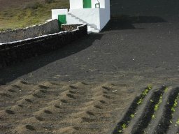 La_Palma_Lanzarote_2003-2004-017